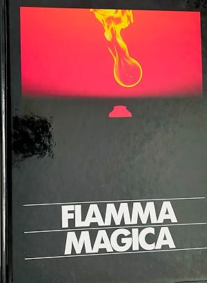 Bild des Verkufers fr Flamma Magica. Feuer, Wrme, Licht, Frieden. 1992 zum Verkauf von Buecherstube Eilert, Versandantiquariat