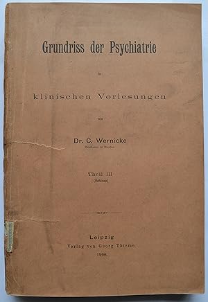 Grundriss der Psychiatrie in klinischen Vorlesungen. Theil III. ; 18. bis 41. Vorlesung (Schluss)...