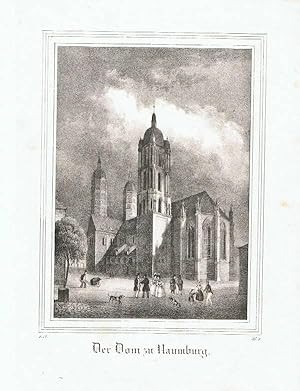 Naumburg, Domzu. Lithographie aus Saxonia