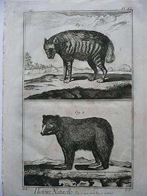 Hyäne , Bär. ( le Hayane, Le Ours ) 2 Figuren auf Blatt. Original Kupferstich von Benard nach Mar...