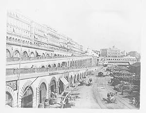 Lichtdruck. verso von alter Hand betitelt: Algier, terrassenartige Straßen am Hafen
