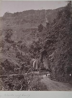 Original - Fotografien. Aufnahme der Strasse von Colombo nach Kandy, braungetönter Albuminabzug. ...