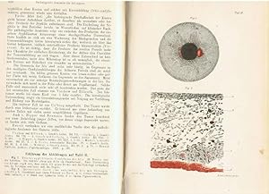 Lehrbuch der speziellen Anatomie. 3 Teile in einem Band. 1. Die Pathologische Anatomie des Auges,...