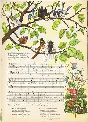 Die Hochzeit im Walde. Ein Bilderbuch mit bekannten Kinderliedern für große und kleine Leute. Ill...