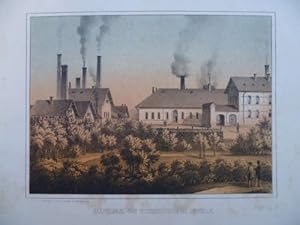 Glasfabrik von Fickenscher in Zwickau. Lithographie mit 2 Tonplatten aus Oeser, Album der Sächsis...