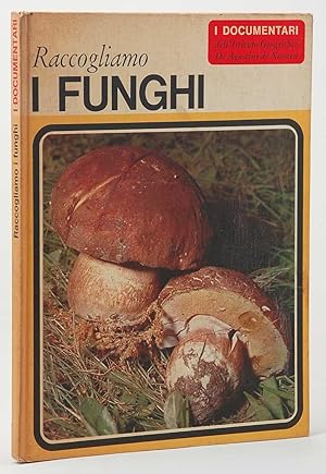 Raccogliamo i funghi