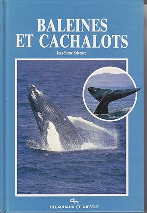 Baleines et cachalots