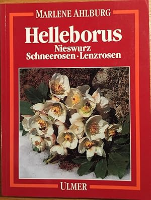 Helleborus. Nieswurz, Schneerosen, Lenzrosen.