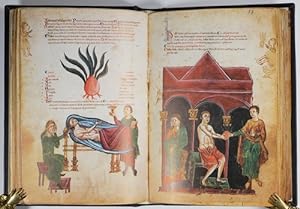Medicina Antiqua (Codex Vindobonensis 93). & Commentarium.