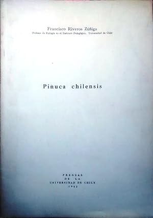 Pinuca chilensis