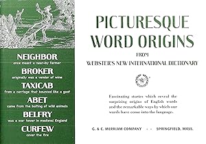 Picturesque Word Origins : Fascinating Stories Which Reveal The Surprising Origins Of English Wor...