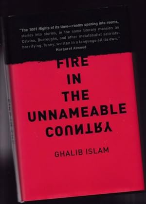 Seller image for Fire in the Unnameable Country for sale by Nessa Books