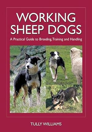 Seller image for Working Sheep Dogs (Paperback) for sale by AussieBookSeller