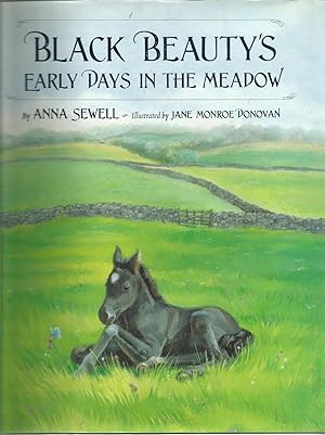 Black Beauty's Early Days in the Meadow (Classic Picture Books)