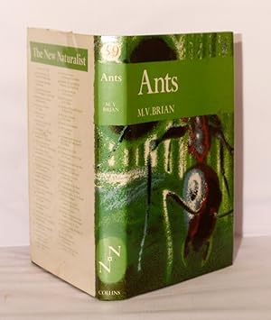 Seller image for Ants. for sale by Kerr & Sons Booksellers ABA