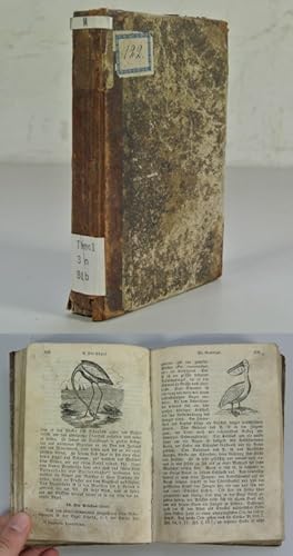 Image du vendeur pour Biblische Naturgeschichte. Herausgegeben von dem Calwer Verlagsverein. mis en vente par Antiquariat Bookfarm