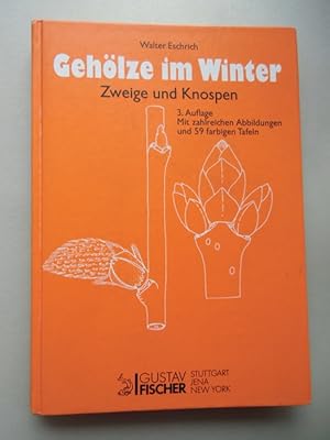 Gehölze im Winter Zweige Knospen 1995