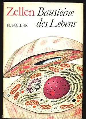 Image du vendeur pour Bausteine des Lebens. mis en vente par Antiquariat Bookfarm