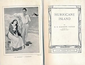 Imagen del vendedor de Hurricane Island a la venta por Barter Books Ltd