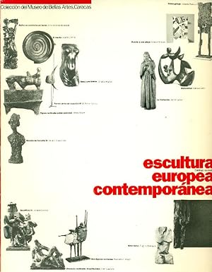 Coleccion del Museo de Bellas Artes Caracas. Escultura europea contemporanea
