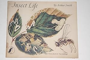 Insect Life