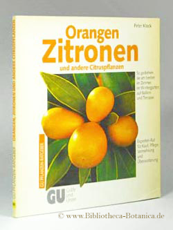 Seller image for Orangen, Zitronen und andere Citruspflanzen. So gedeihen sie am besten im Zimmer, im Wintergarten, auf Balkon und Terrasse. Experten-Rat fr Kauf, Pflege, Vermehrung und berwinterung. for sale by Bibliotheca Botanica