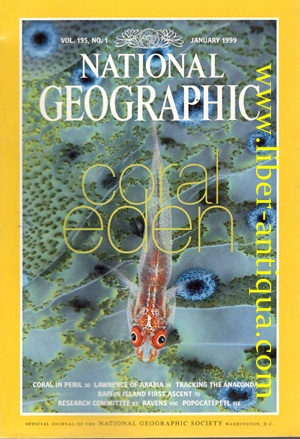 National Geographic - Vol 195, No 1 - Inhalt: coral eden. coral in peril, lawrence of arabia, tra...