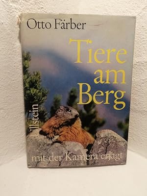 Tiere am Berg Mit der Kamera erjagt, Geleitwort von Professor Dr.Dr. Konrad Lorenz,