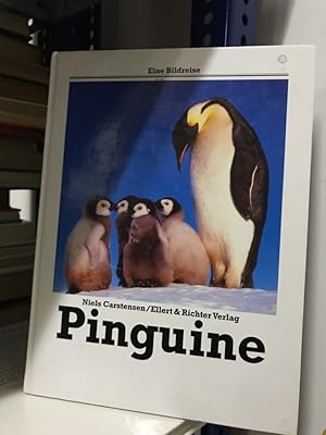 Pinguine. Eine Bildreise