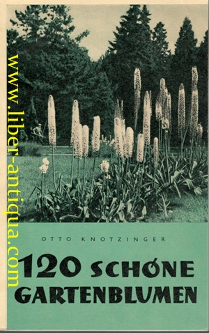 120 schöne Gartenblumen