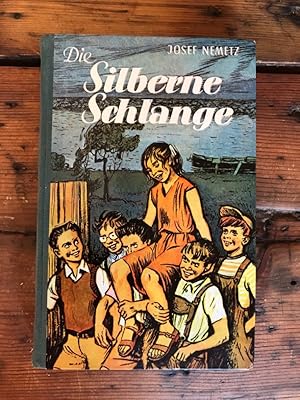 Die silberne Schlange: Ein Roman für Mädchen und Buben