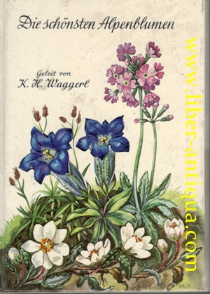 Seller image for Die schnsten Alpenblumen for sale by Antiquariat Liber Antiqua