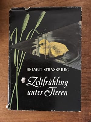 Zeltfrühling unter Tieren mit dem Tierbildstudio auf Fahrt