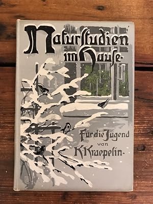 Imagen del vendedor de Naturstudien im Hause: Plaudereien in der Dmmerstunde; Ein Buch fr die Jugend a la venta por Antiquariat Liber Antiqua