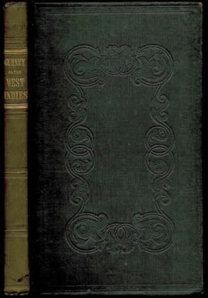 Imagen del vendedor de Familiar Letters to Henry Clay of Kentucky describing a Winter in the West Indies a la venta por The Book Collector, Inc. ABAA, ILAB