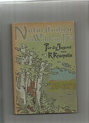 Image du vendeur pour Naturstudien in Wald und Feld. Spaziergangs-Plaudereien, ein Buch fr die Jugend. mis en vente par Sigrid Rhle