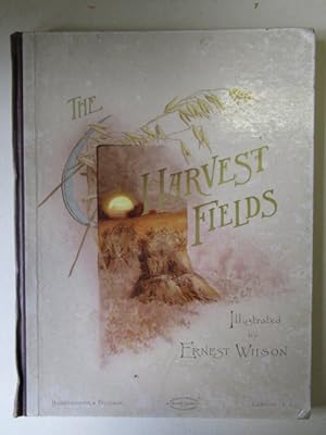 The Harvest Fields