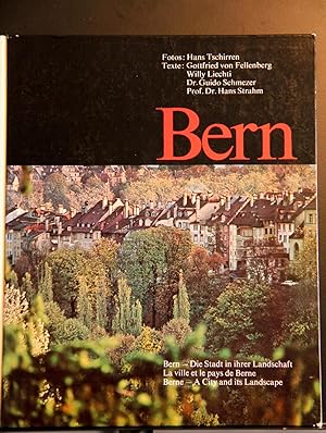 Imagen del vendedor de BERN Die Stadt in ihrer Landschaft a la venta por Mad Hatter Bookstore