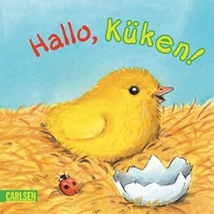 Imagen del vendedor de Buggy-Bcher: Hallo, Kken! a la venta por AMAHOFF- Bookstores