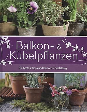 Bild des Verkufers fr Garten: Kbelpflanzen zum Verkauf von AMAHOFF- Bookstores