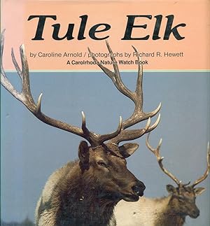 TULE ELK : A Carolrhoda Nature Watch Book