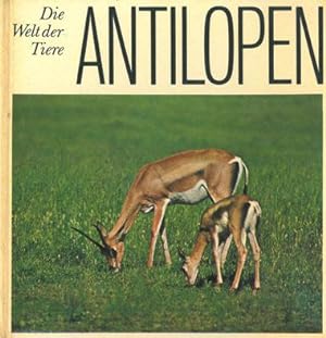 Seller image for Die Welt der Tiere. Antilopen for sale by Schueling Buchkurier