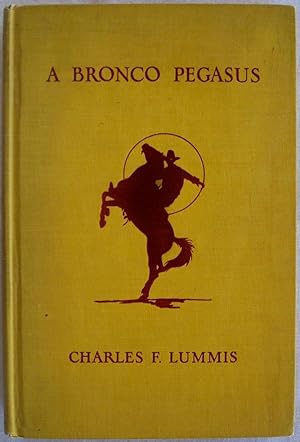 A BRONCO PEGASUS