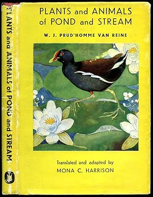 Bild des Verkufers fr Plants and Animals of Pond and Stream; A Handy Guide Containing Drawings and Descriptions of over 500 Species of Plants, Insects, Fish, Birds, etc. zum Verkauf von Little Stour Books PBFA Member
