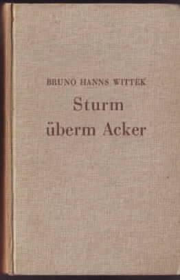 Bild des Verkufers fr Sturm berm Acker : Roman Bruno Hanns Wittek zum Verkauf von Ralf Bnschen