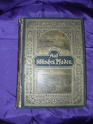 Seller image for Auf Biblischen Pfaden. for sale by Verlag Heyn