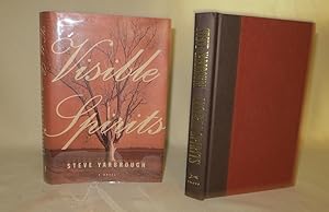 Seller image for Visible Spirits for sale by Books Again