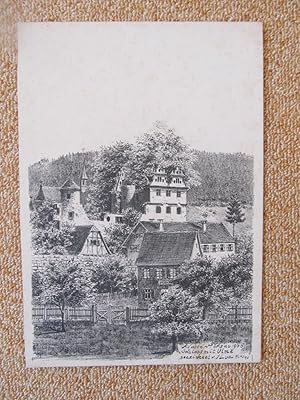 Kloster Hirsau, Schloss mit Ulme, 1900