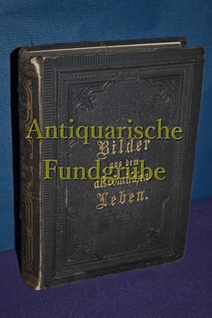 Immagine del venditore per Bilder aus dem altrmischen Leben. venduto da Antiquarische Fundgrube e.U.