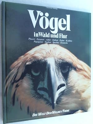 Imagen del vendedor de Vgel in Wald und Flur a la venta por Versandantiquariat Christian Back